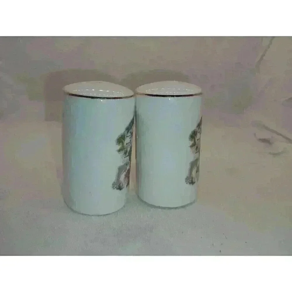 VTG BAHAMAS SOUVENIR SALT & PEPPER SHAKERS W/ ORIGINAL PRICE STICKER COLLECTABLE